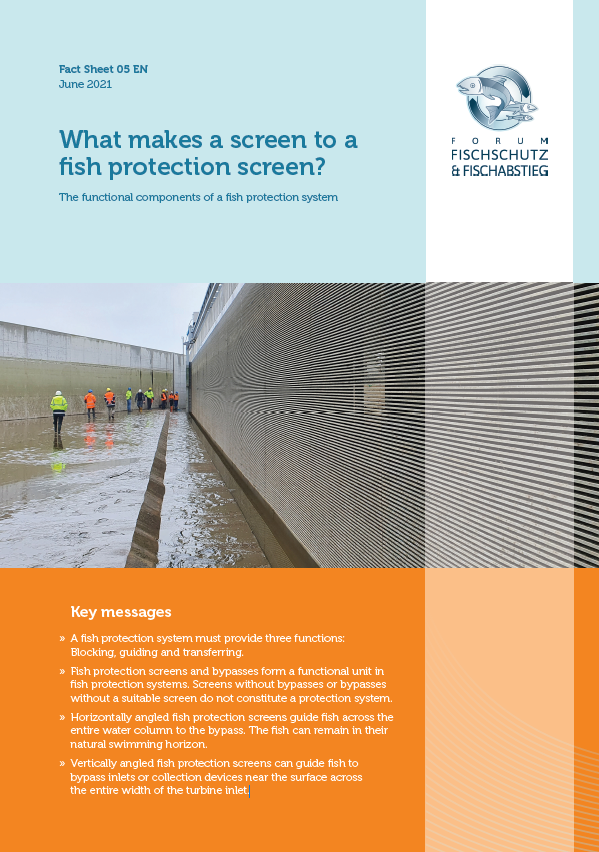 Cover of the factsheet "What makes a screen to a fish protection screen