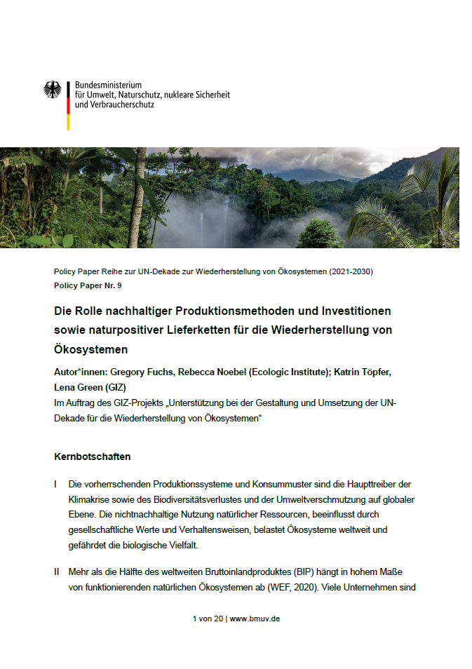 cover page of Policy Paper No. 9 by the German Federal Ministry for the Environment, Nature Conservation, Nuclear Safety, and Consumer Protection. The title reads 'Die Rolle nachhaltiger Produktionsmethoden und Investitionen sowie naturpositiver Lieferketten für die Wiederherstellung von Ökosystemen', translating to 'The Role of Sustainable Production Methods and Investments as well as Nature-Positive Supply Chains for the Restoration of Ecosystems'.