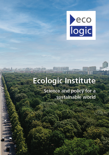 Cover of the Ecologic Institute brochure 2020