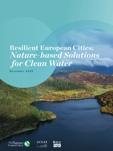Resilient European Cities: Nature-based Solutions for Clean Water