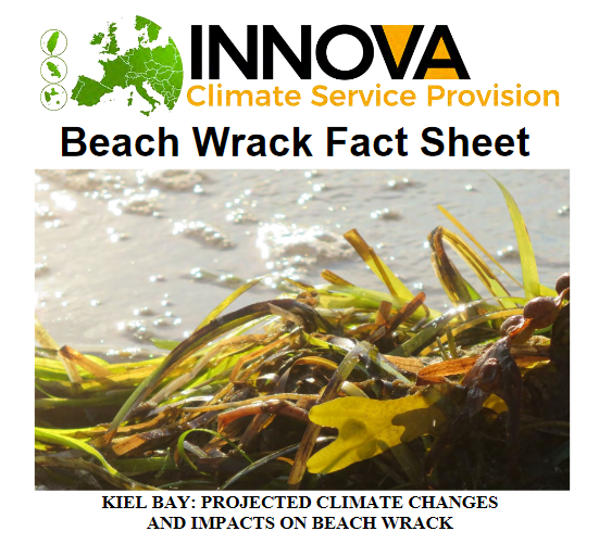 Cover beach wrack Factsheet
