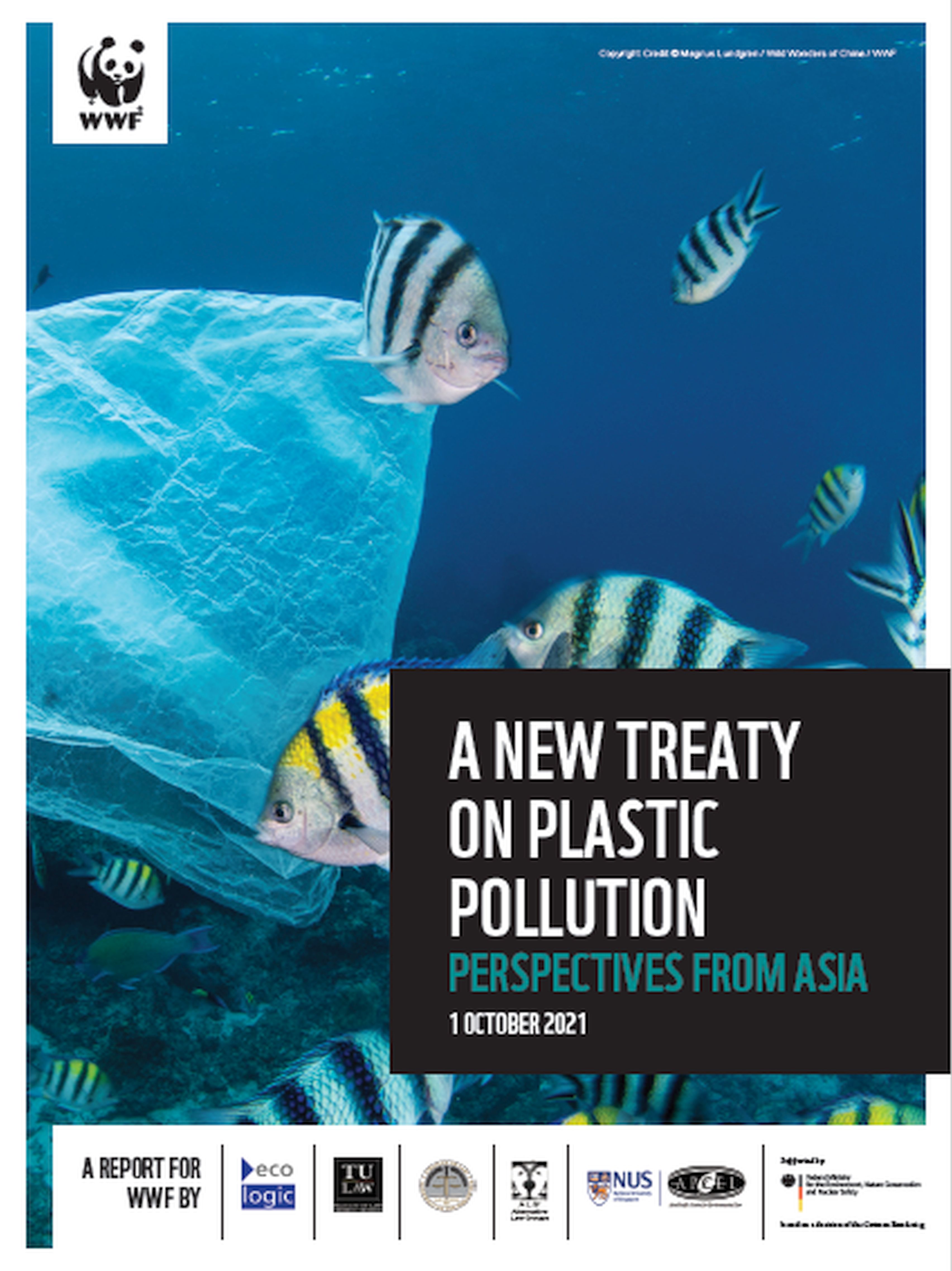Report cover with image of fish, title, and logos of participating institutions
