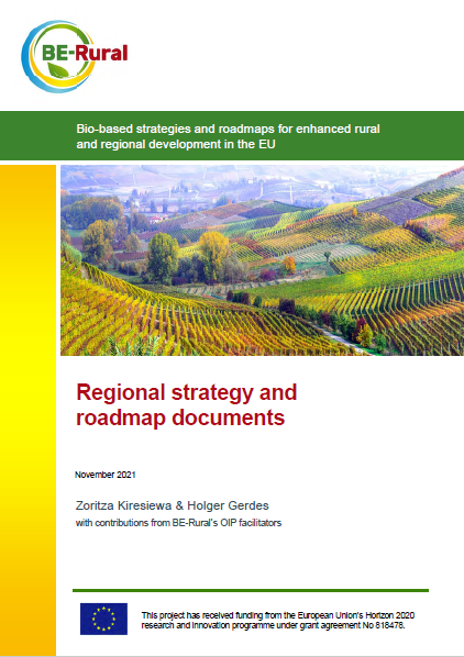 Cover of the regional strategy and roadmap documents