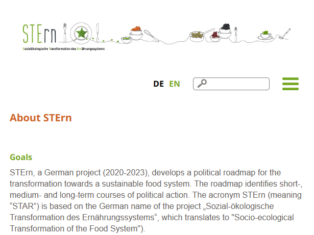 screenshot of the stern project website
