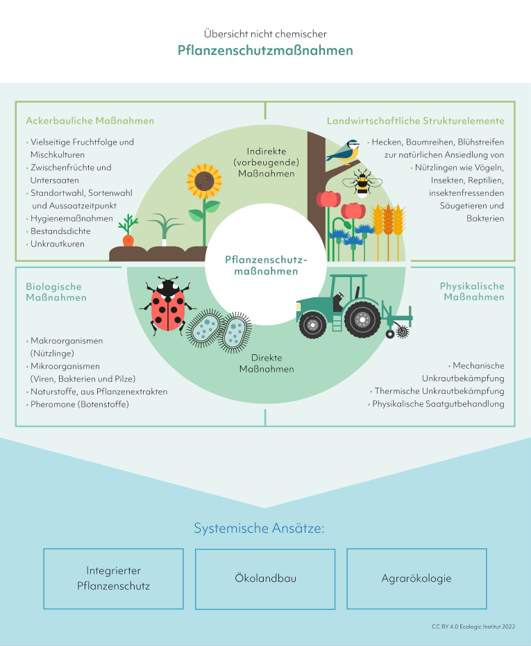 Infographic "Übersicht nicht chemischer Pflanzenschutzmaßnahmen"