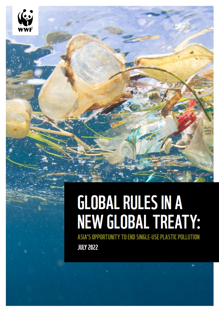 Report Cover "Global Rules in a New Global Treaty"