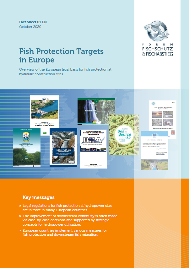 Cover of the fact sheet "Fish Protection Targets in Europe"