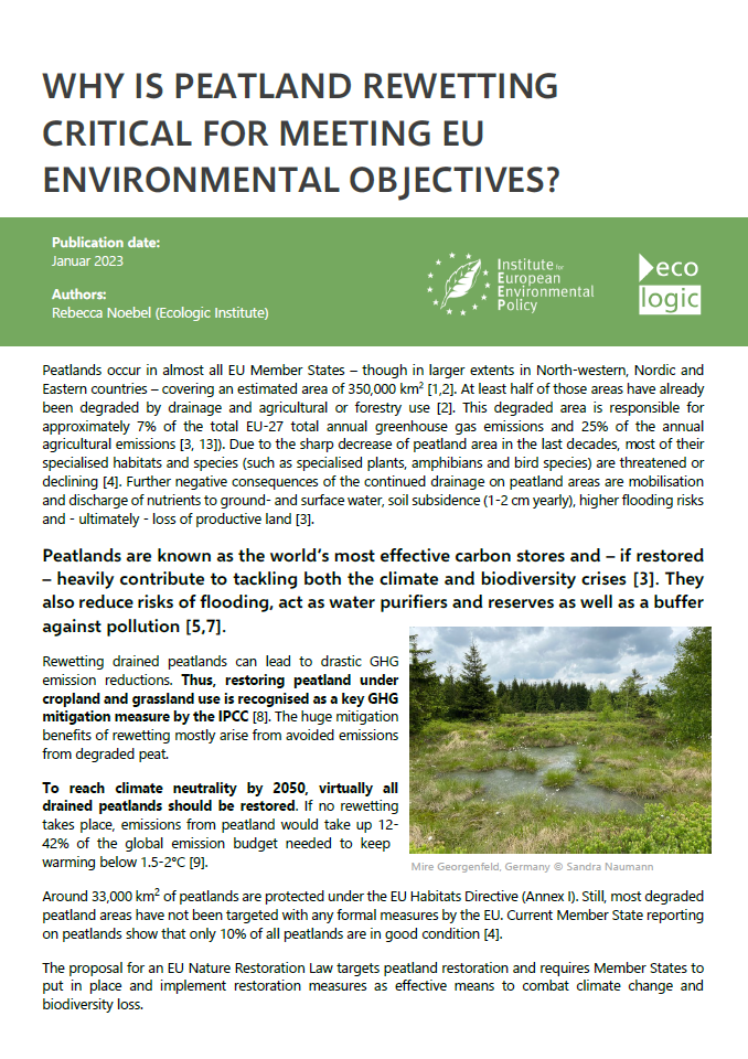 Cover of the Policy Brief "Why is Peatland Rewetting Critical for Meeting EU Environmental Objectives?"