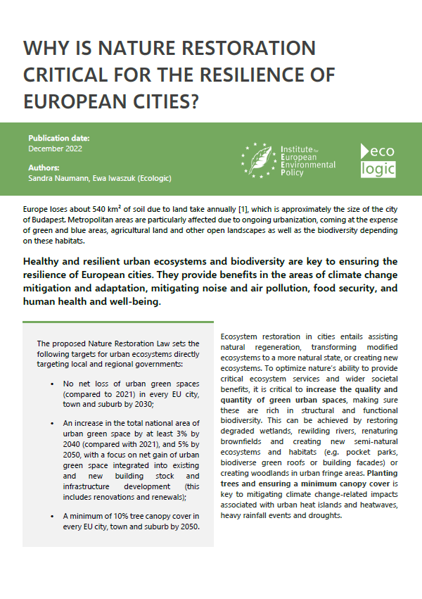 1st page of the policy brief