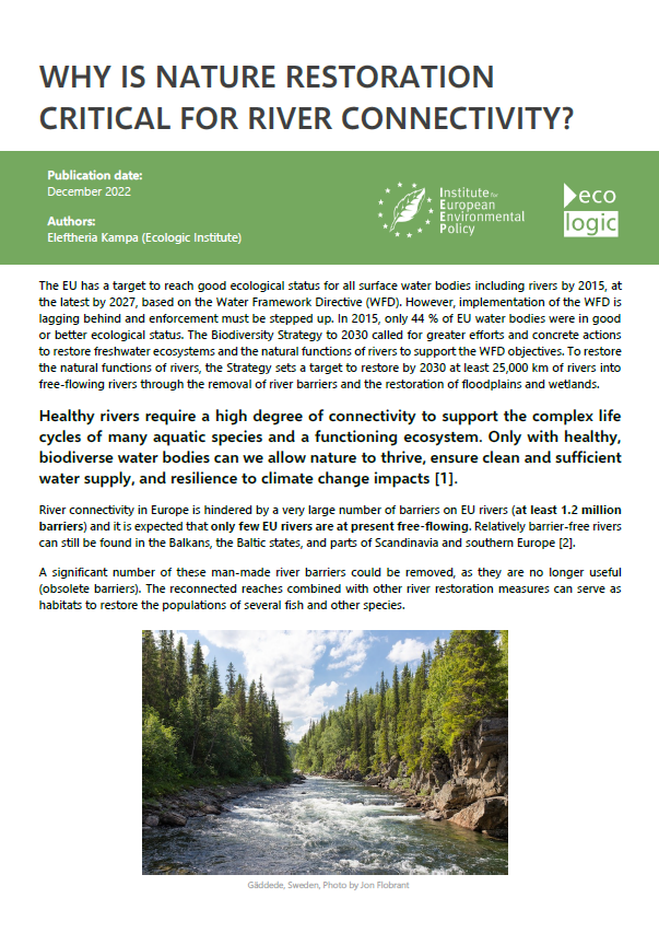 1st page of the policy brief "Why is nature restoration critical for river connectivity?"