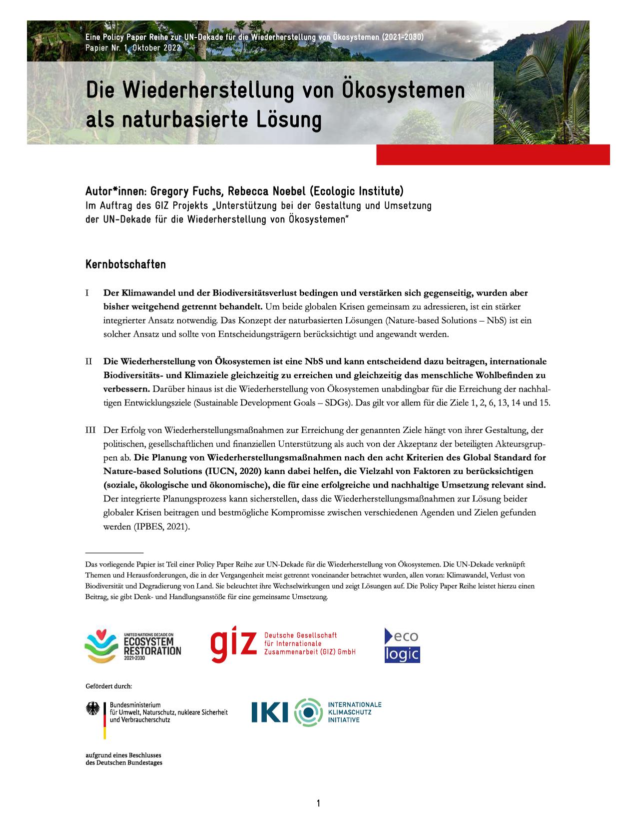 Cover mit den Kernaussagen des Policy Briefs "Die Wiederherstellung von Ökosystemen als naturbasierte Lösung"