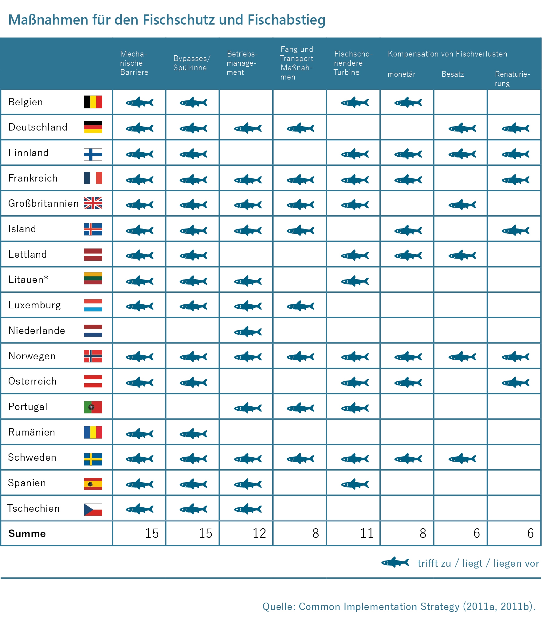 Infografik zu Maßnahmen für den Fischschutz und Fischabstieg