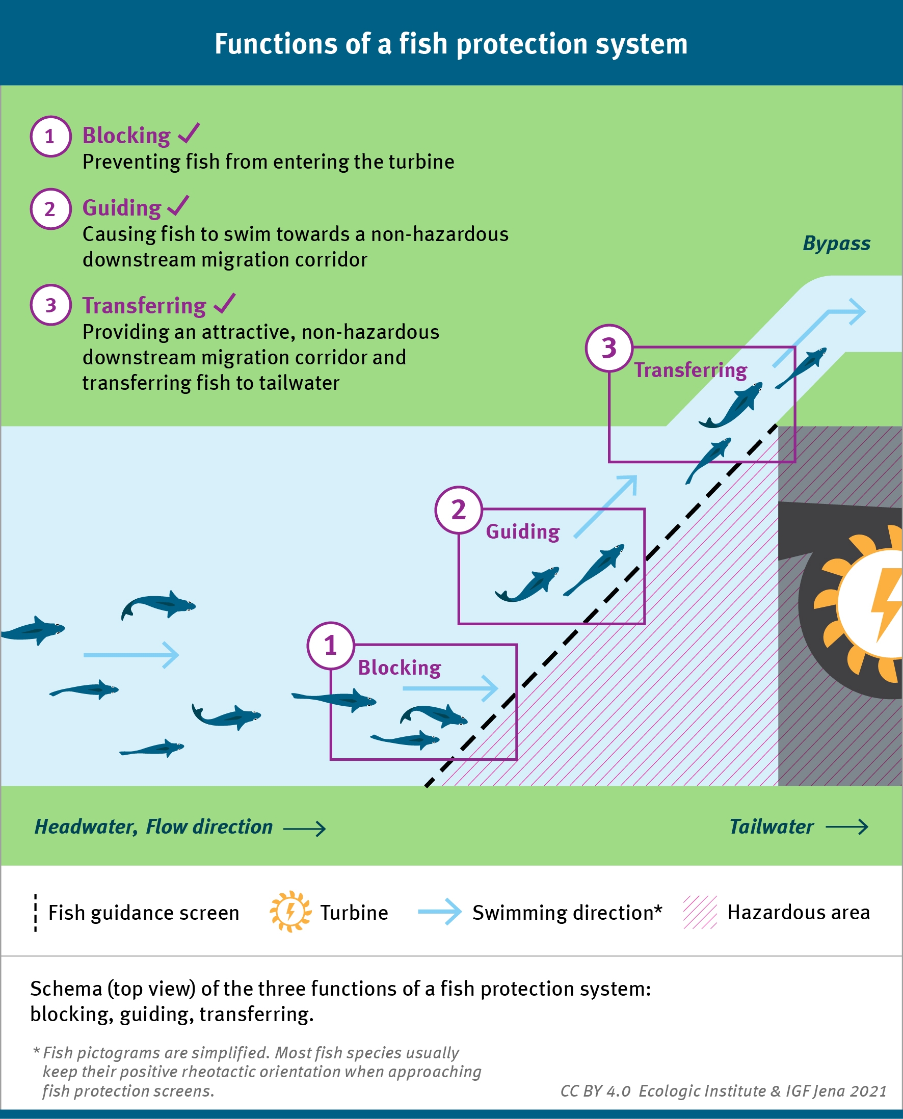 Schema (top view) of the three functions of a fish protection system: blocking, guiding, transferring.