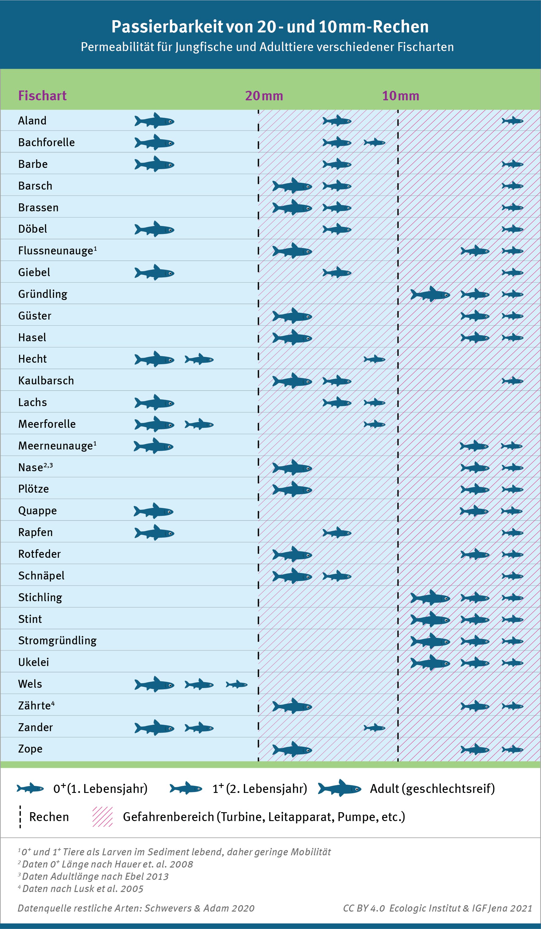 Tabelle die die Permeabilität für Jungfische und Adulttiere verschiedener Fischarten anzeigt