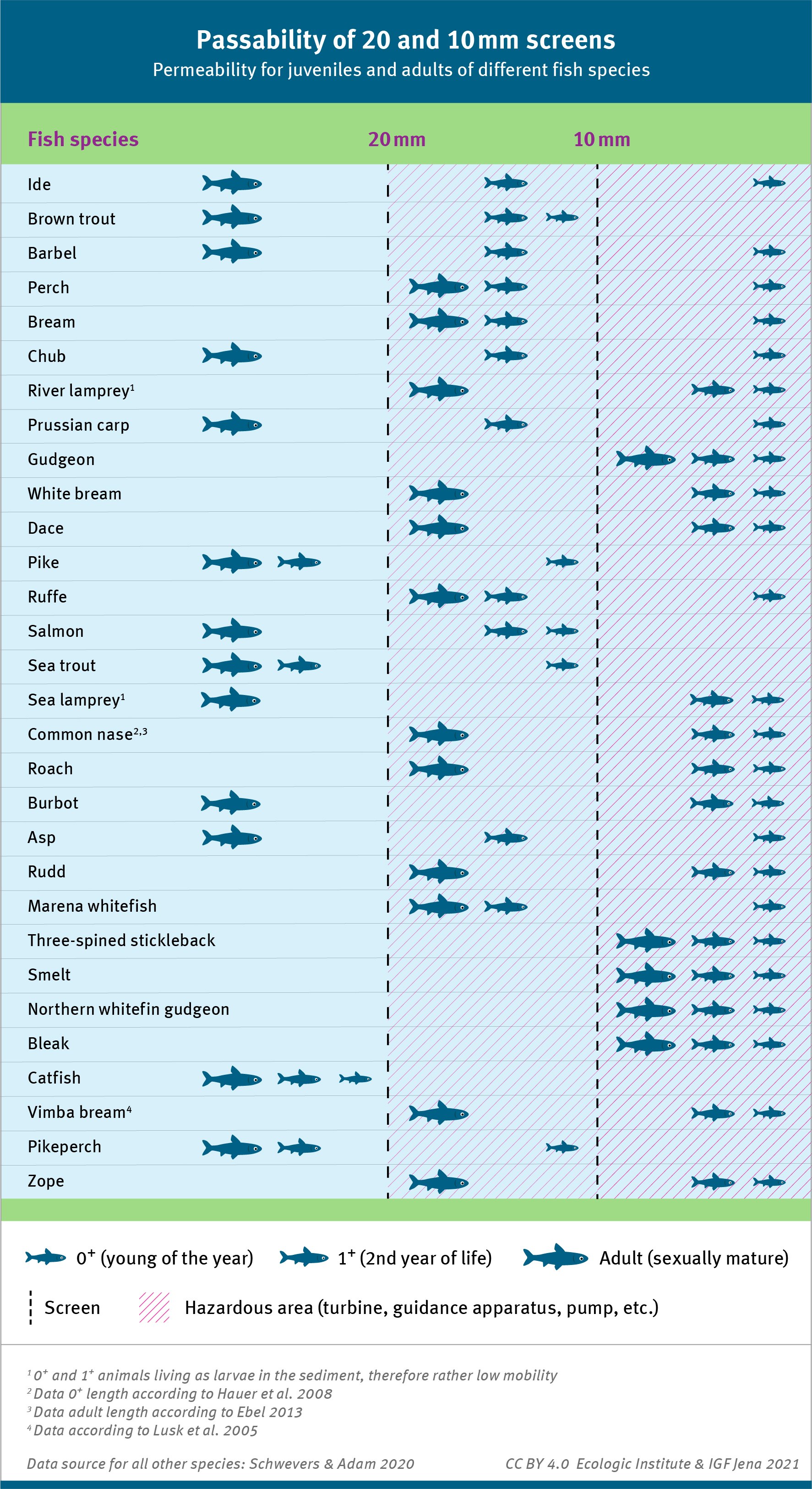 Table, displaying the permeability for juveniles and adults of different fish species