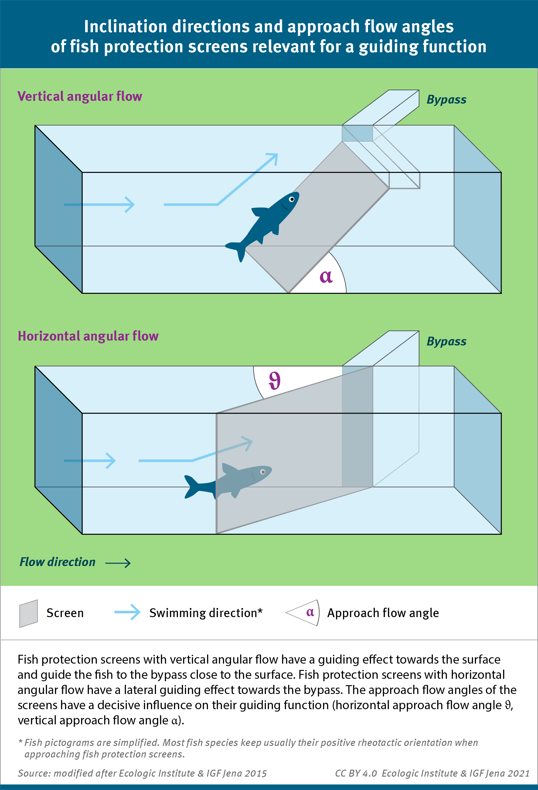 The infographic shows the difference between horizontally angled and vertically angled fish protection screens.