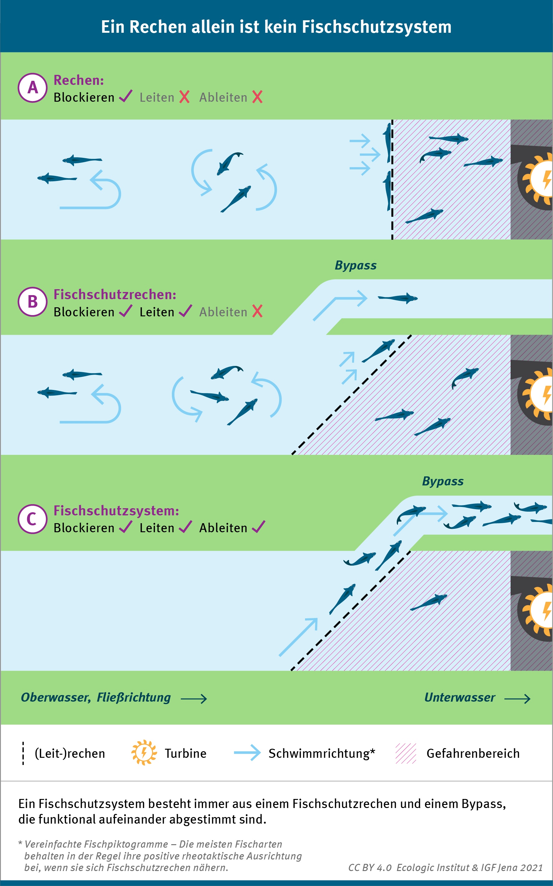 Ein Fischschutzsystem besteht immer aus einem Fischschutzrechen und einem Bypass, die funktional aufeinander abgestimmt sind. Die Grafik zeigt die einzelnen Komponenten auf.