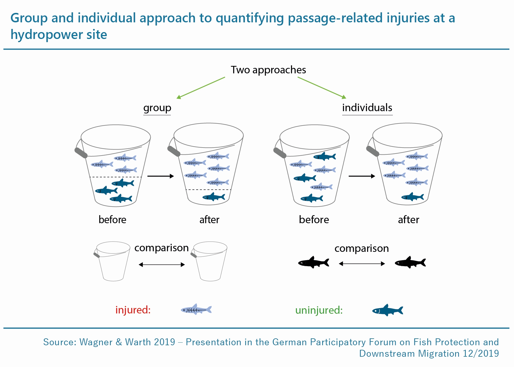 Infographic on group and individual approach to quantifying passage-related injuries in a hydropower site.