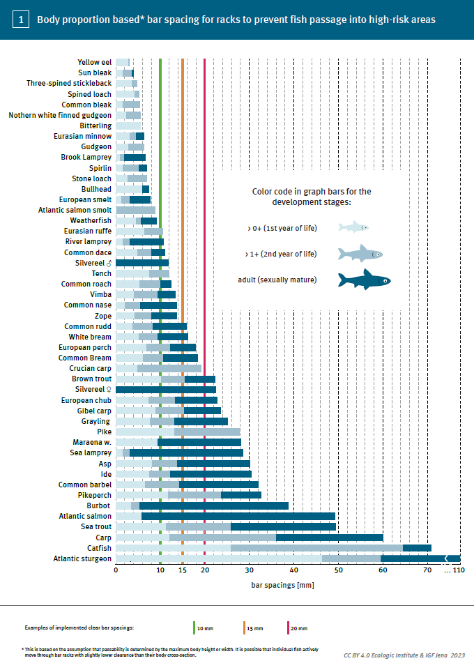 Body proportion based* bar spacing for racks to prevent fish passage into high-risk areas