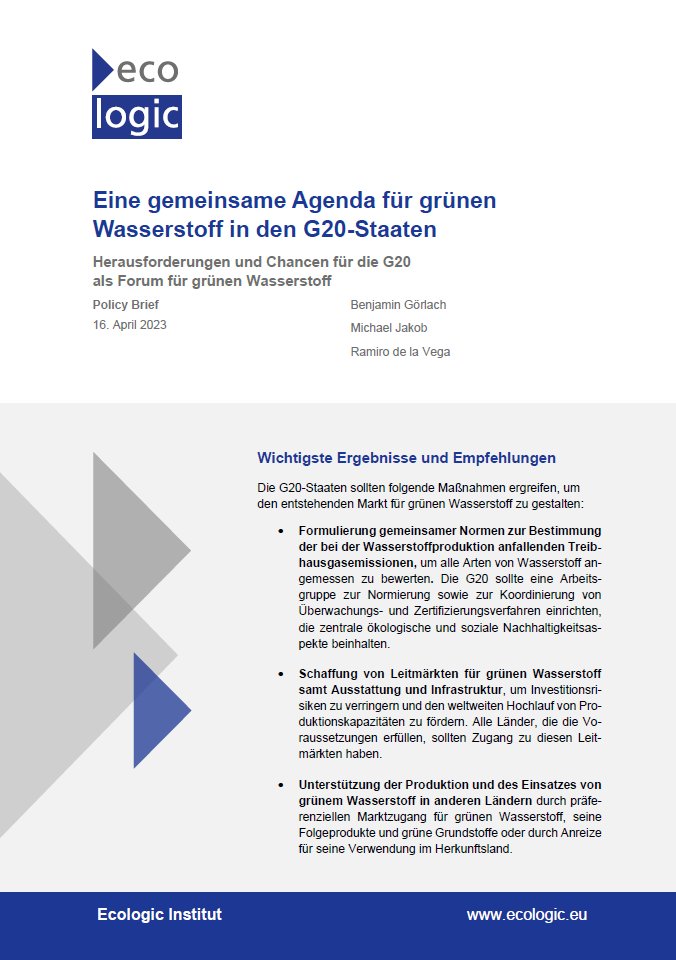 Erste Zeite des Policy Briefs "Eine gemeinsame Agenda für grünen Wasserstoff in den G20-Staaten" mit den wichtigsten Erkenntnissen und Empfehlungen