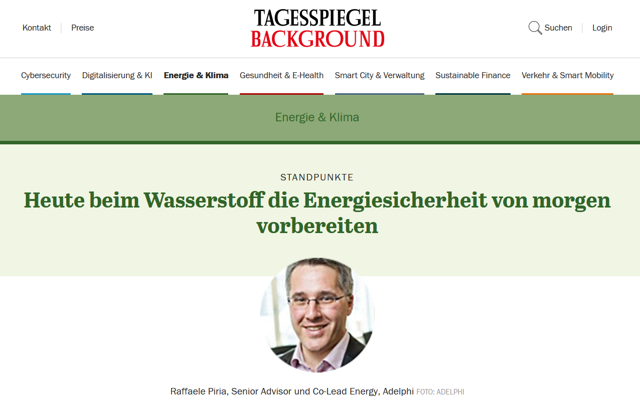 Raffaele Piria Tagesspiegel Artikel Wasserstoff