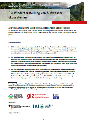 1st page of the policy paper "Die Wiederherstellung von Süßwasserökosystemen"