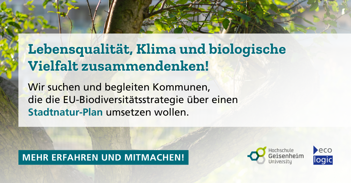 Social media card with a tree in the background. Text: Lebensquaöität, Klima und biologische Vielfalt zusammendenken! Wir suchen und begleiten Kommunen, die die EU-Biodiversitätsstrategie über einen Stadtnatur-PLan umsetzen wollen. Mehr erfahren und mitmachen!