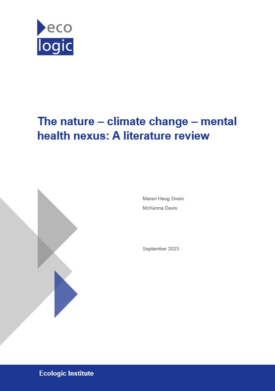 Summary of the Literature on the Nexus Relationships