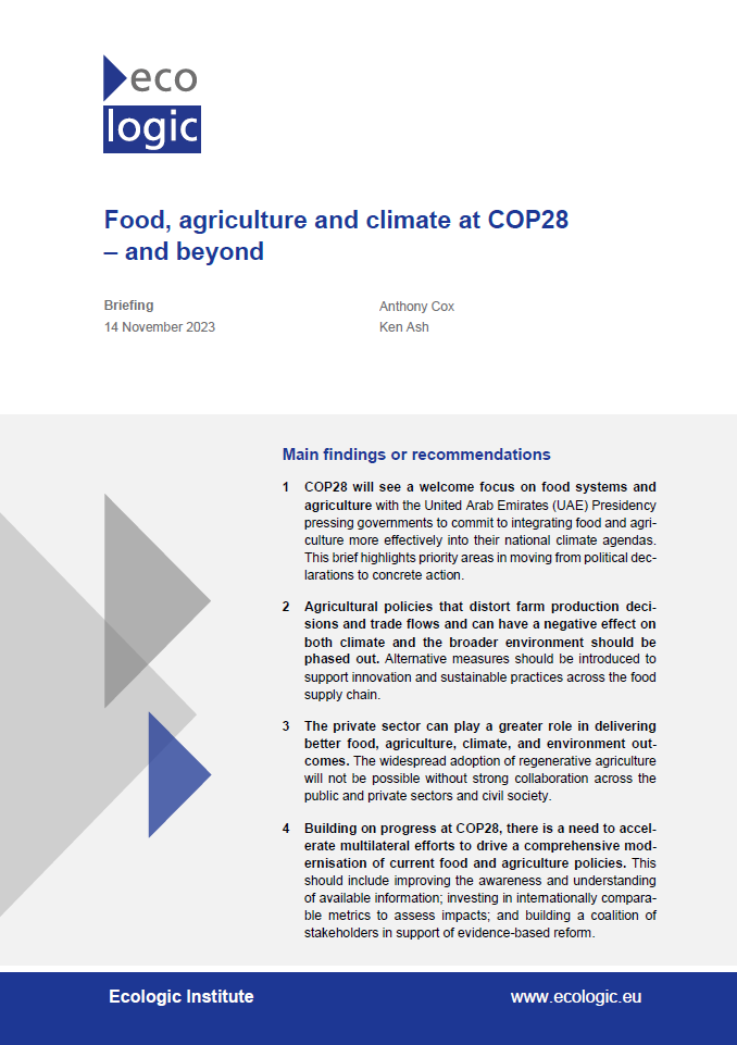 1st page of Ecologic Institute's policy brief "Food, agriculture and climate at COP28 – and beyond"