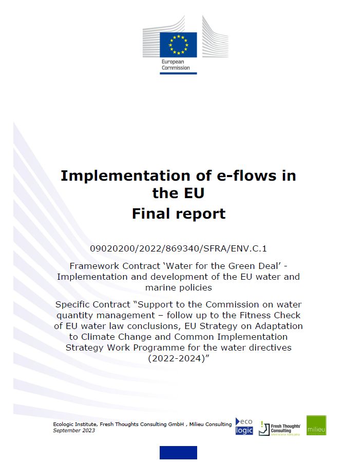 Cover of the report "Implementation of e-flows in the EU" for the European Commission