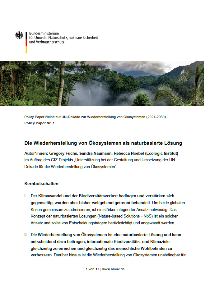 Title page of a policy paper by the Federal Ministry for the Environment, Nature Conservation, Nuclear Safety and Consumer Protection with the title 'The restoration of ecosystems as a nature-based solution'. Underneath is a picture of a lush, foggy rainforest and the names of the authors as well as a summary and key key messages on climate change, biodiversity and ecosystem restoration. ecosystem restoration.