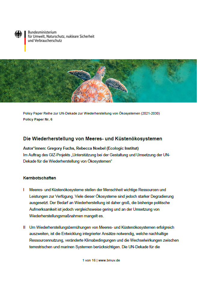 Cover page for a policy paper entitled 'Die Wiederherstellung von Meeres- und Küstenökosystemen', or 'The Restoration of Marine and Coastal Ecosystems', as part of a series on the UN Decade on Ecosystem Restoration (2021-2030), Policy Paper No. 6. The page displays the German Federal Ministry for the Environment's logo and features an underwater photograph of a sea turtle, symbolizing marine life and ecosystem restoration. The authors listed are Gregory Fuchs and Rebecca Noebel from the Ecologic Institute.