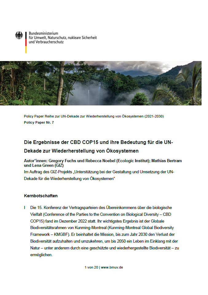 Cover of Policy Paper No. 7 from the series for the UN Decade on Ecosystem Restoration (2021-2030), entitled 'The Results of the CBD COP15 and their Importance for the UN Decade of Ecosystem Restoration.' It displays the emblem of the German Federal Ministry for the Environment, Nature Conservation, Nuclear Safety, and Consumer Protection. Below, an image of a mist-laden rainforest is visible. Authors Gregory Fuchs and Rebecca Noebel from the Ecologic Institute, and Mathias Bertram from GIZ.