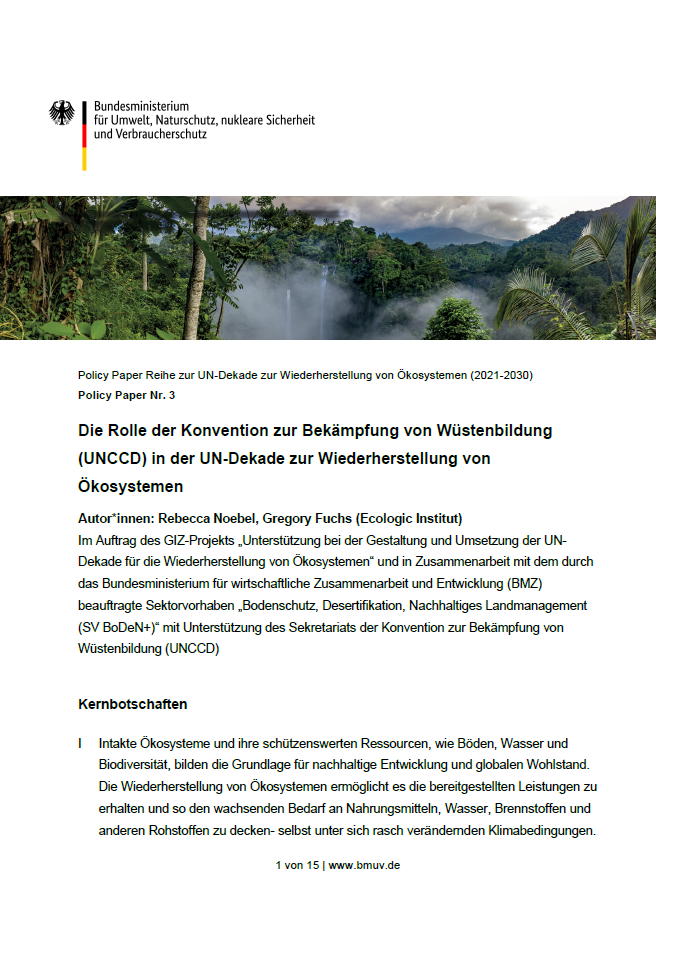 Cover page of a policy paper titled 'Die Rolle der Konvention zur Bekämpfung von Wüstenbildung (UNCCD) in der UN-Dekade zur Wiederherstellung von Ökosystemen' which translates to 'The Role of the Convention to Combat Desertification (UNCCD) in the UN Decade on Ecosystem Restoration'. It features the logo of the German Federal Ministry for the Environment, Nature Conservation, Nuclear Safety and Consumer Protection at the top. The cover includes a scenic image of a misty tropical forest.