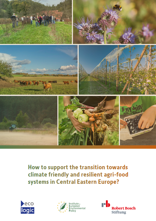 Cover page of a policy brief titled "How to support the transition towards climate friendly and resilient agri-food systems in Central Eastern Europe?" featuring various agricultural images, including people in a field, flowers, cattle grazing, crops, and harvested vegetables. Logos at the bottom include Ecologic, Institute for European Environmental Policy, and Robert Bosch Stiftung.