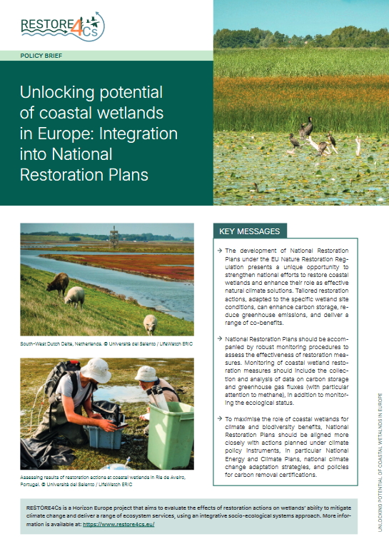 Cover of the policy brief, featuring photos of wetlands.
