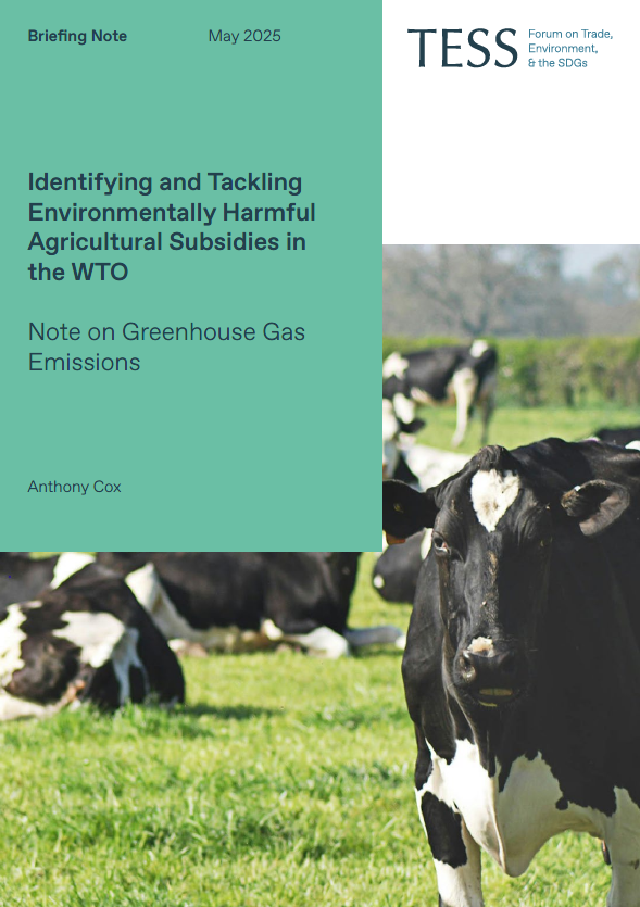 Cover of a TESS Briefing Note titled “Identifying and Tackling Environmentally Harmful Agricultural Subsidies in the WTO: Note on Greenhouse Gas Emissions” by Anthony Cox, published in May 2025. The cover features a photo of black and white dairy cows grazing on green grass.