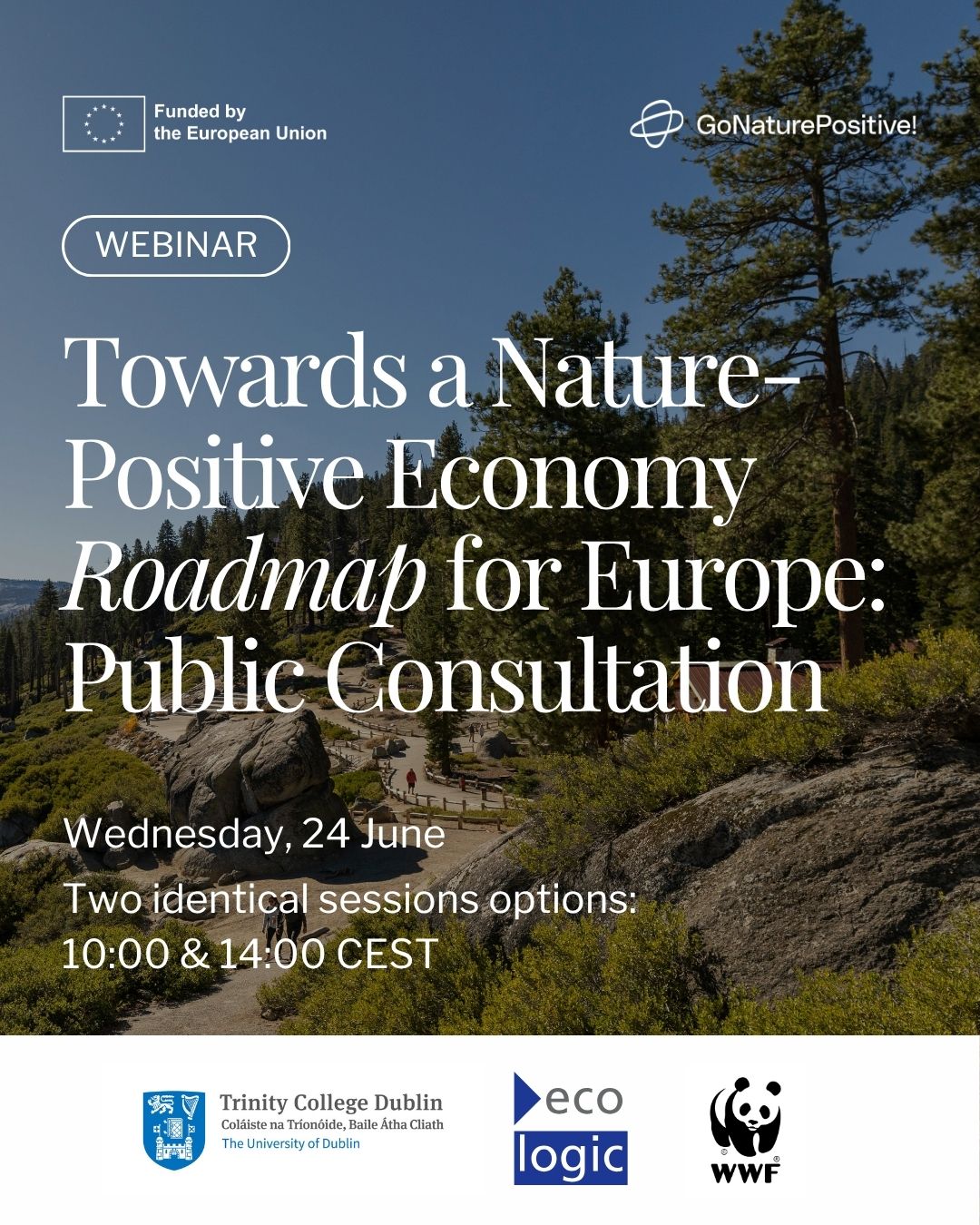 title of event with forest in background