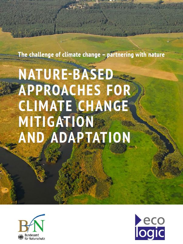 climate change mitigation case study pdf