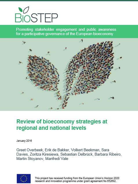 literature review bioeconomy