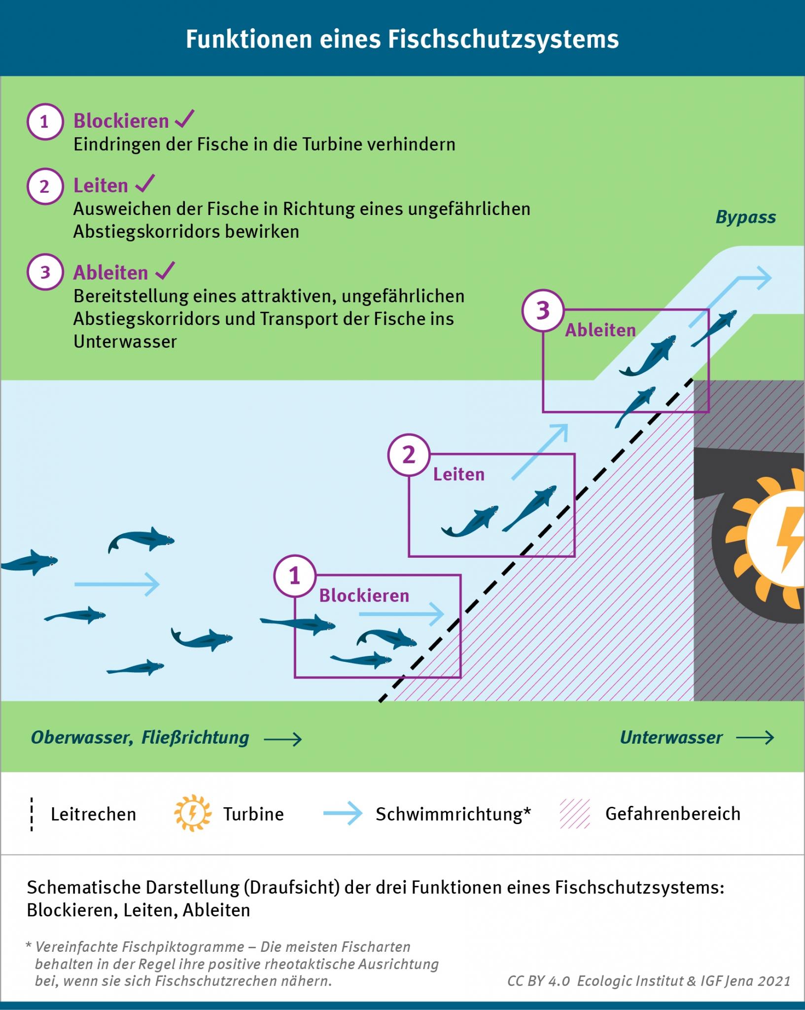 © Ecologic Institut, IGF Jena 2021 | CC BY 4.0