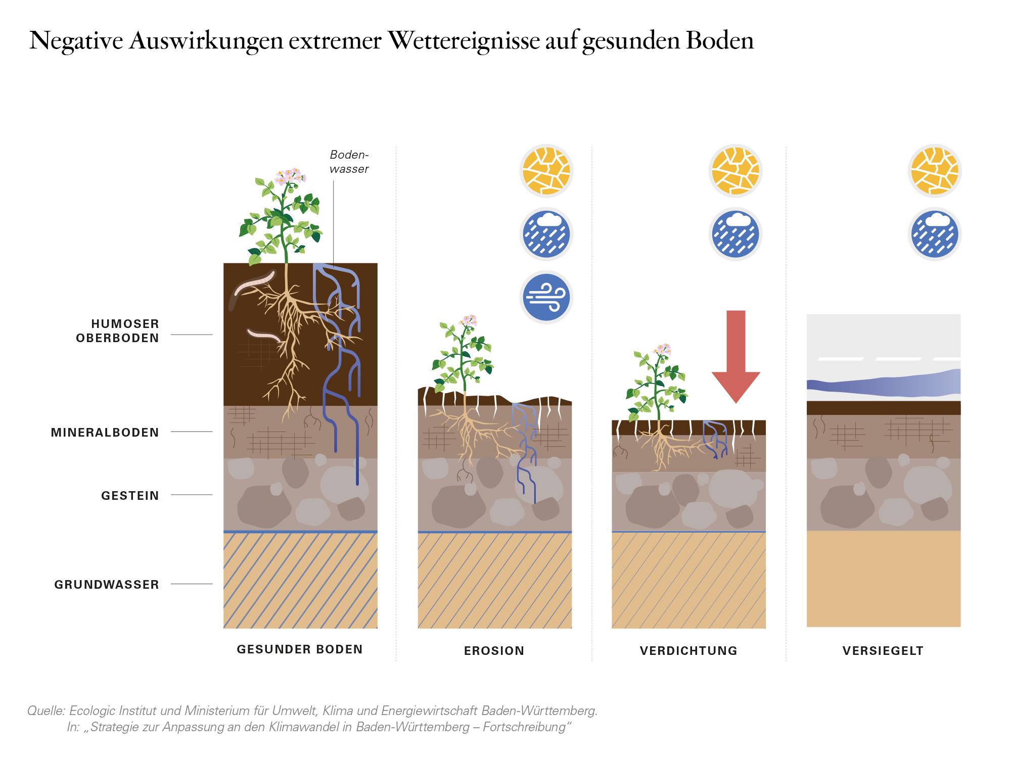 Ecologic Institute and Ministry of the Environment, Climate Protection and the Energy Sector Baden-Württemberg. In: „Strategie zur Anpassung an den Klimawandel in Baden-Württemberg – Fortschreibung“