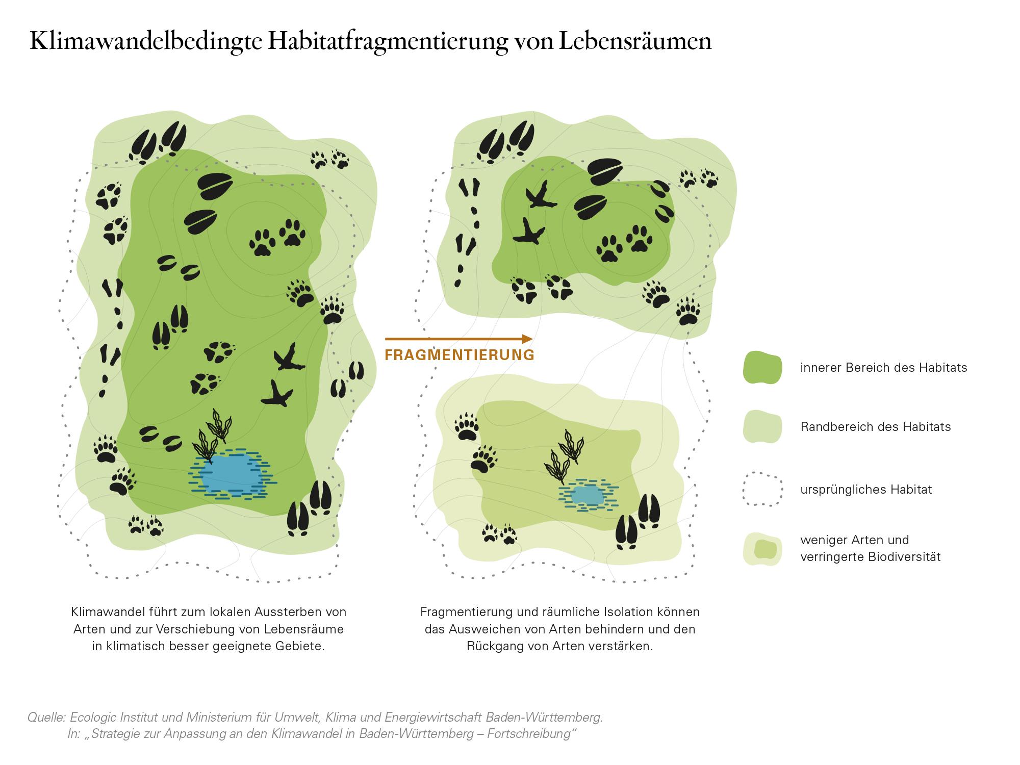 Ecologic Institute and Ministry of the Environment, Climate Protection and the Energy Sector Baden-Württemberg. In: „Strategie zur Anpassung an den Klimawandel in Baden-Württemberg – Fortschreibung“