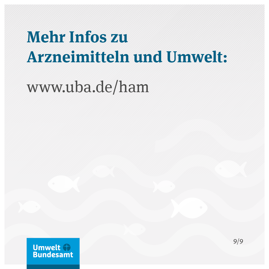 Umweltbundesamt, Ecologic Institut 2024, CC-BY 4.0