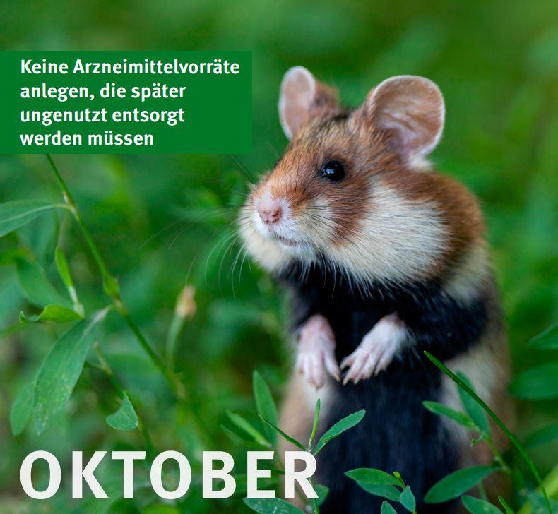 © German Environment Agency, 2024