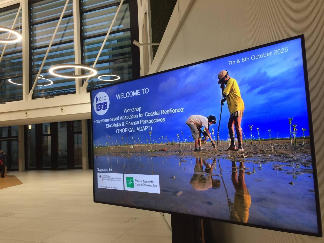 © Ecologic Institut, 2025