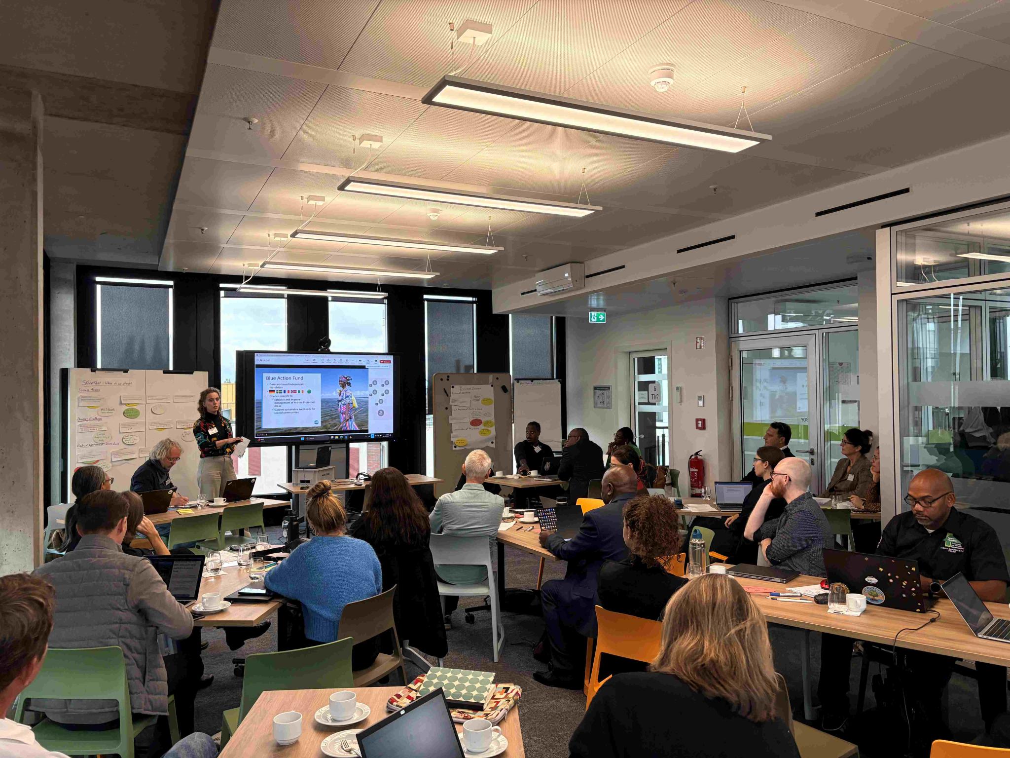 Ecosystem-based Adaptation for Coastal Resilience (I) | Ecologic Institute