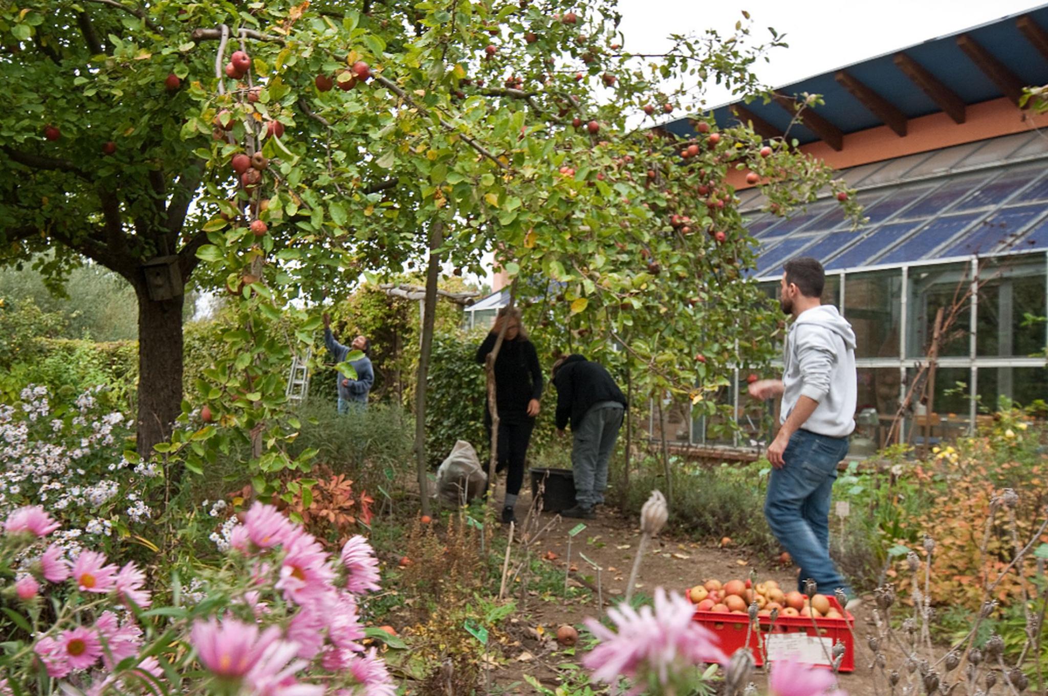 Wangeliner Workcamps Eine grüne Idee von Zukunft