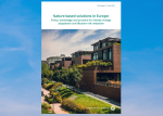 Publication's cover