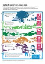 Infografik zu naturbasierten Lösungen mit Bäumen, Infrastruktur und Menschen